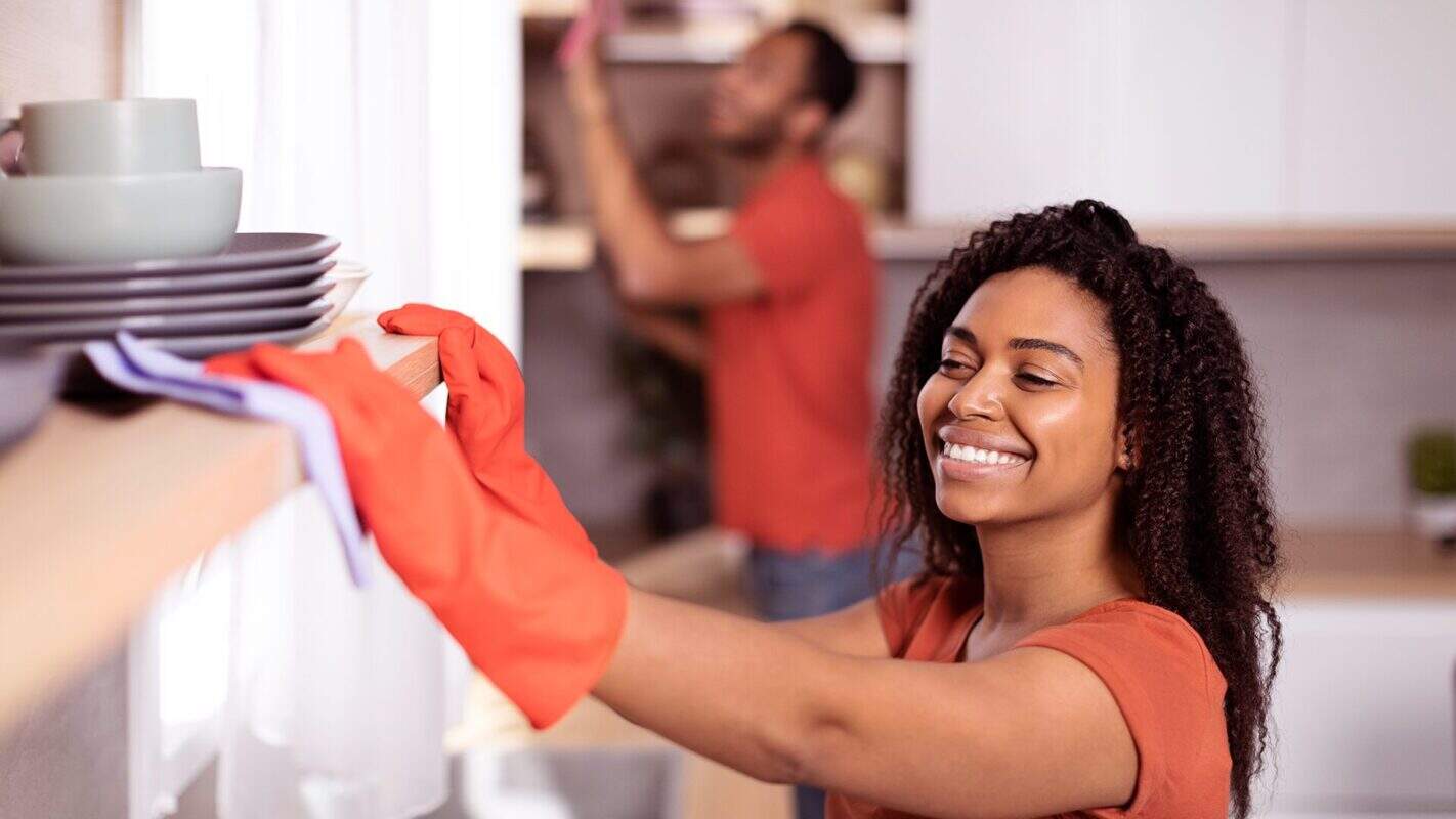 Quase 6 mil buscas por emprego doméstico foram registradas em 2024, aponta BNE